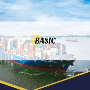 Basic Plan
