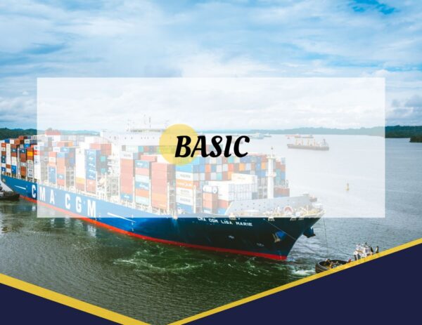 Basic Plan