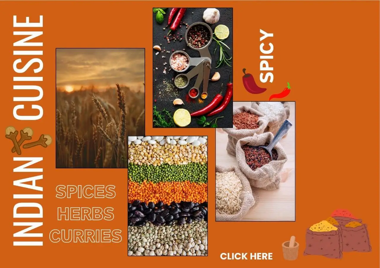 WhatsApp Image 2025-06-19 at 9.14.07 PM (2)